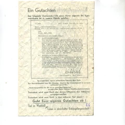 Alliiertes Propagandaflugblatt 2.Weltkrieg 'Ein Gutachten'