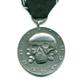 Eiserne Division - Medaille der Eisernen Division